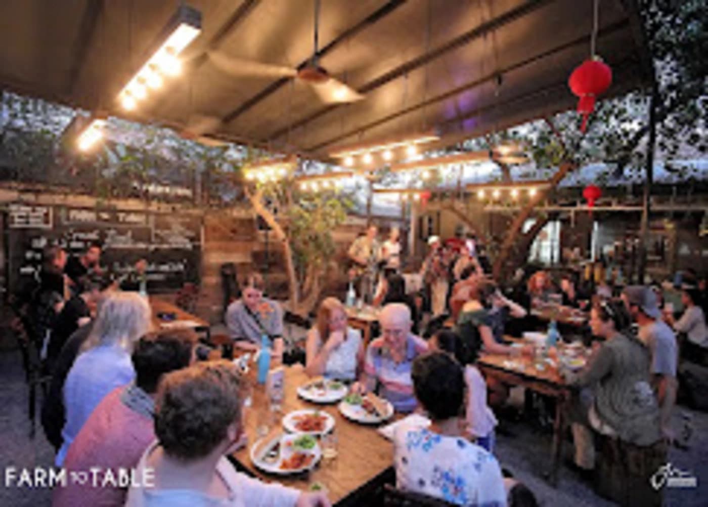 Farm To Table